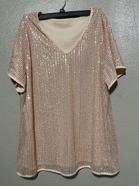 Women's Blush Sequin V-Neck Short Sleeve Blouse